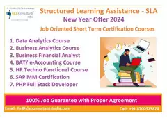 Business Analytics Certification Course in Delhi, SLA, Malviya Nagar,100% Job, NSDC 
